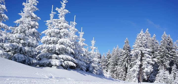 découvrez l'univers captivant du ski alpin, un sport de glisse exaltant qui allie vitesse et technique sur les pentes enneigées. que vous soyez débutant ou skieur aguerri, explorez les meilleures stations, obtenez des conseils sur l'équipement et apprenez les techniques pour profiter pleinement de chaque descente.