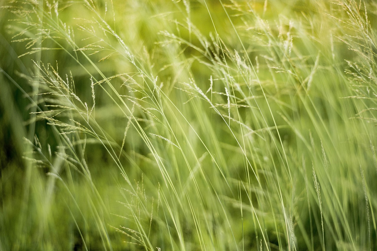 découvrez l'impact environnemental des activités humaines et comment nous pouvons réduire notre empreinte écologique. explorez les enjeux liés à la pollution, au changement climatique et aux ressources naturelles.