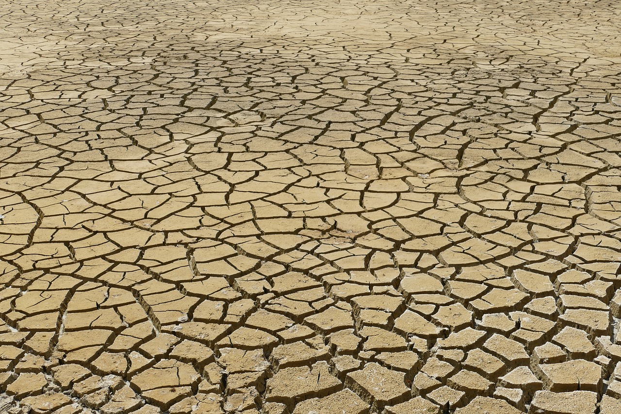 découvrez les enjeux et les impacts du changement climatique sur notre planète. apprenez comment les actions humaines perturbent l'équilibre naturel et explorez les solutions pour lutter contre ce défi mondial.