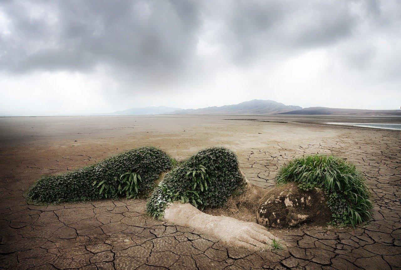 découvrez les dernières tendances environnementales qui façonnent notre avenir. analysez les innovations durables, les mouvements écologiques et les pratiques responsables qui contribuent à la préservation de notre planète. engagez-vous pour un meilleur environnement dès aujourd'hui.