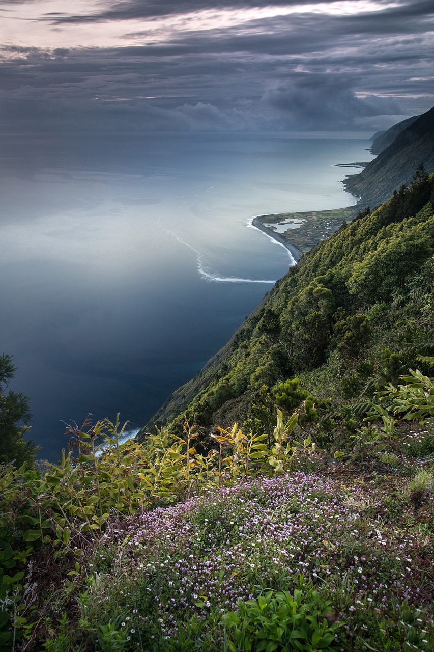 découvrez la richesse et l'importance de la biodiversité, un trésor naturel qui soutient la vie sur terre. explorez les enjeux de sa préservation et les actions à entreprendre pour garantir un avenir durable.