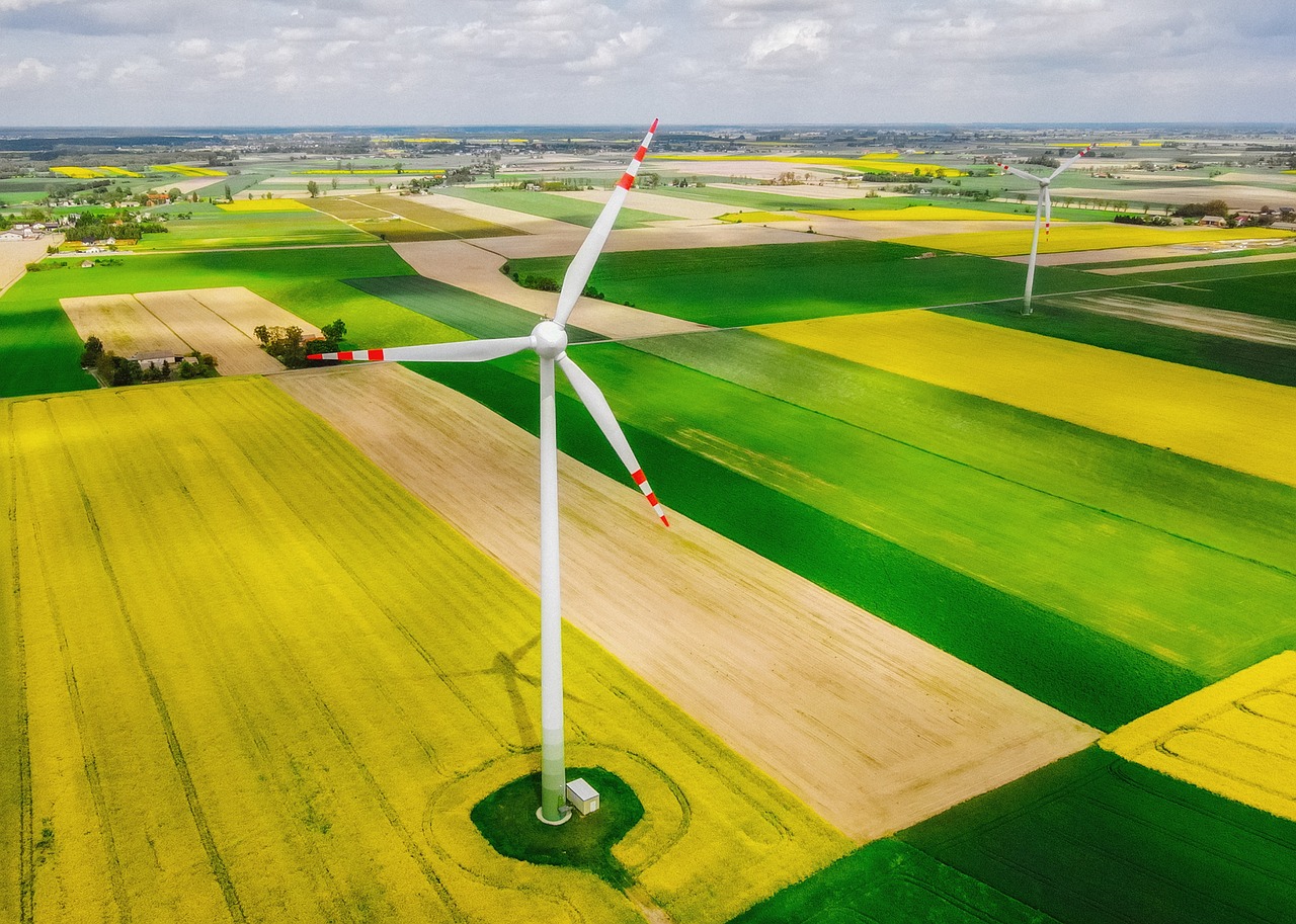 découvrez l'écologie, la science qui étudie les interactions entre les êtres vivants et leur environnement. explorez les enjeux environnementaux, la biodiversité, et les solutions durables pour protéger notre planète. engagez-vous pour un avenir plus vert et responsable.