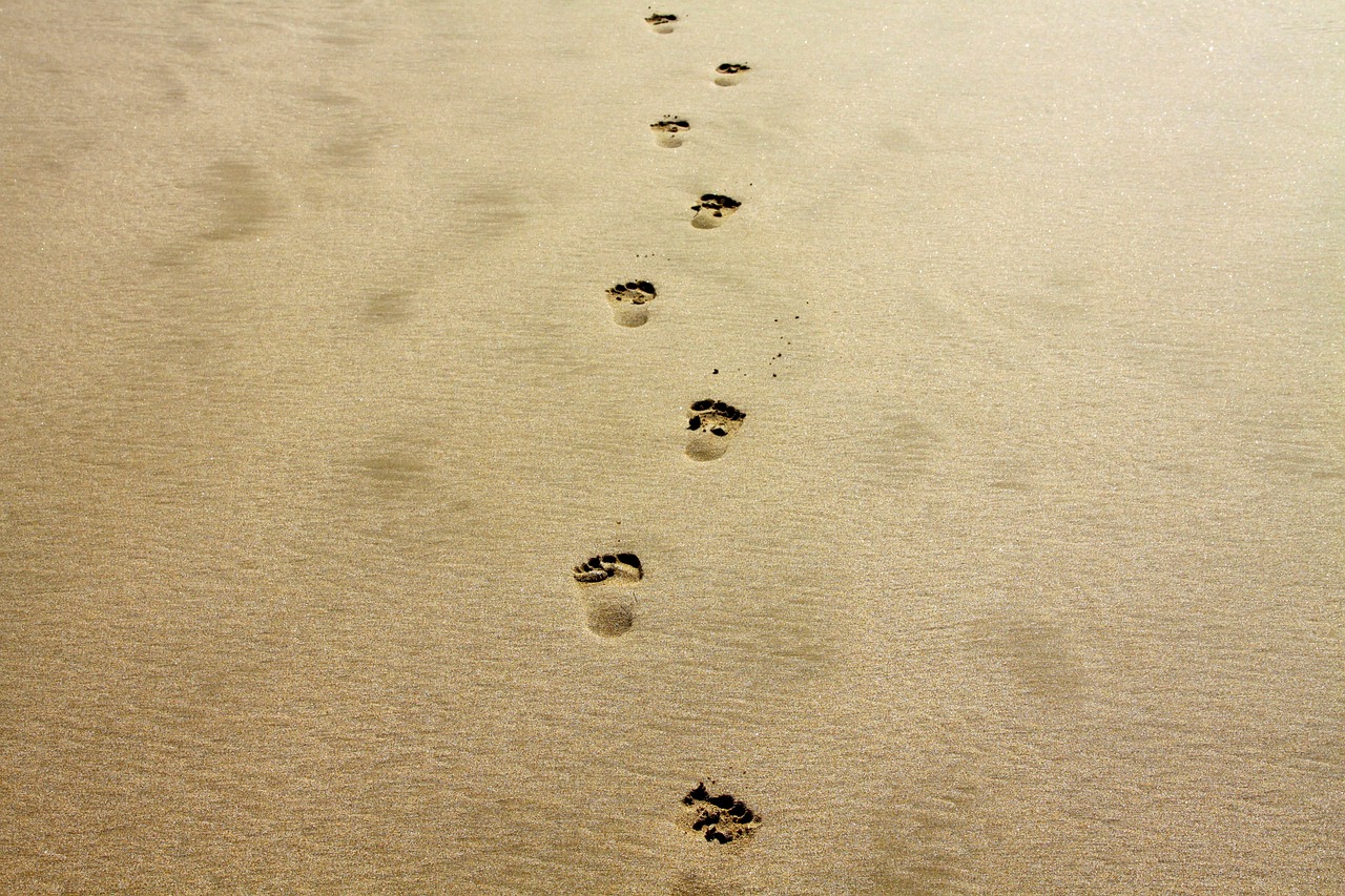 découvrez ce qu'est l'empreinte carbone, son impact sur l'environnement et des conseils pratiques pour la réduire au quotidien. adoptez des gestes écoresponsables pour préserver notre planète.