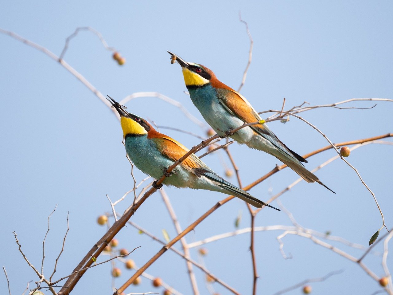 découvrez l'importance de l'écologie pour la préservation de notre planète. explorez les principes fondamentaux de la biodiversité, les écosystèmes et les impacts des activités humaines sur l'environnement. engagez-vous pour un avenir durable.