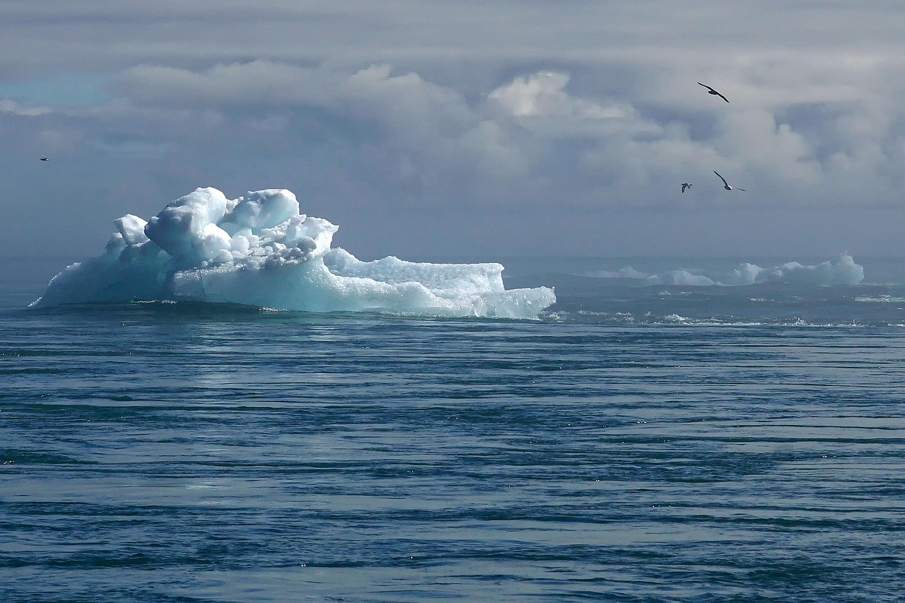 découvrez l'impact du changement climatique sur notre planète, les causes sous-jacentes, et les solutions pour un avenir durable. informez-vous sur les actions à entreprendre pour lutter contre cette crise mondiale et préserver notre environnement.