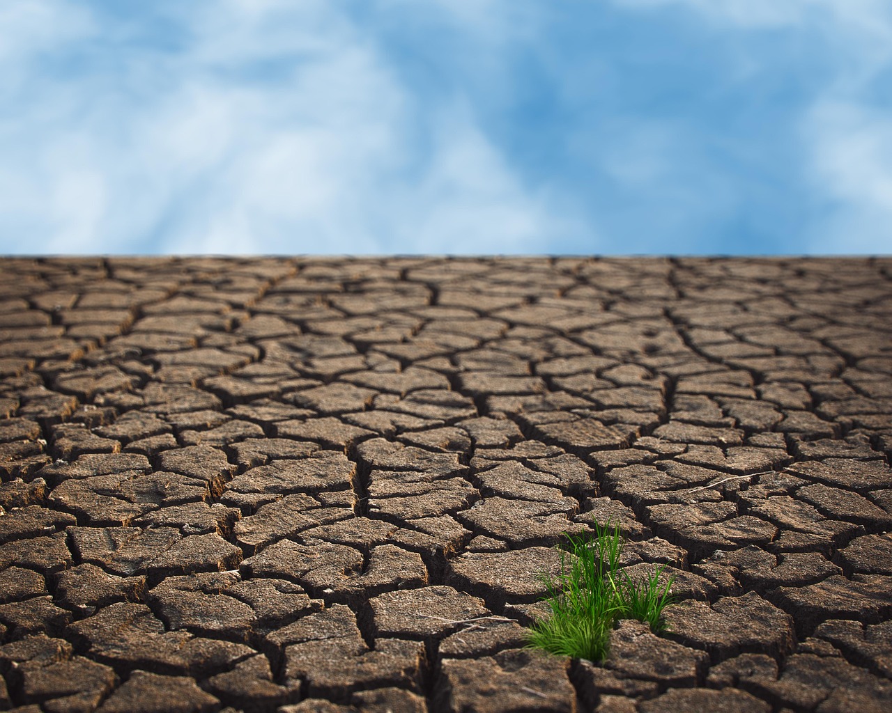 découvrez les enjeux et les impacts du changement climatique sur notre planète. informez-vous sur les actions à entreprendre pour réduire notre empreinte carbone et préserver l'environnement pour les générations futures.