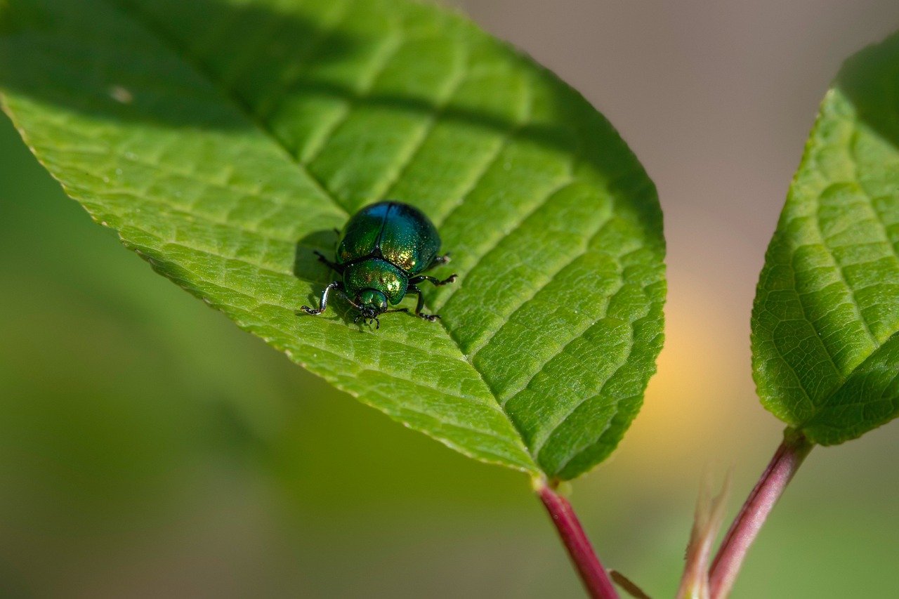 découvrez l'importance de la gestion intégrée des ressources (gir) pour optimiser l'utilisation durable des ressources naturelles. apprenez comment cette approche permet de concilier développement économique, protection de l'environnement et bien-être social.