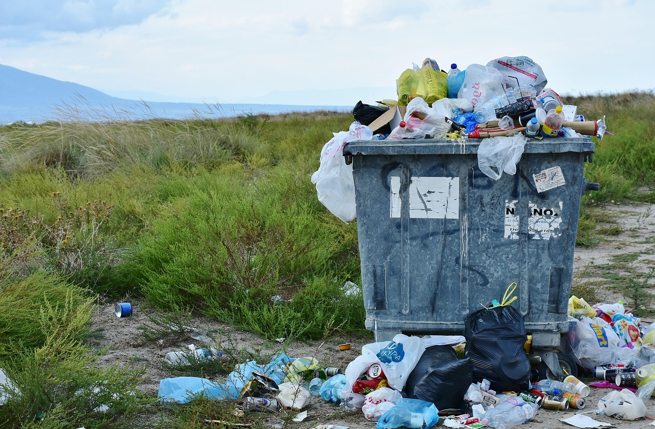 découvrez des solutions innovantes pour la gestion des déchets, des conseils pratiques pour réduire votre empreinte environnementale et des informations essentielles sur le recyclage. transformez vos habitudes de consommation et engagez-vous vers un avenir plus durable.
